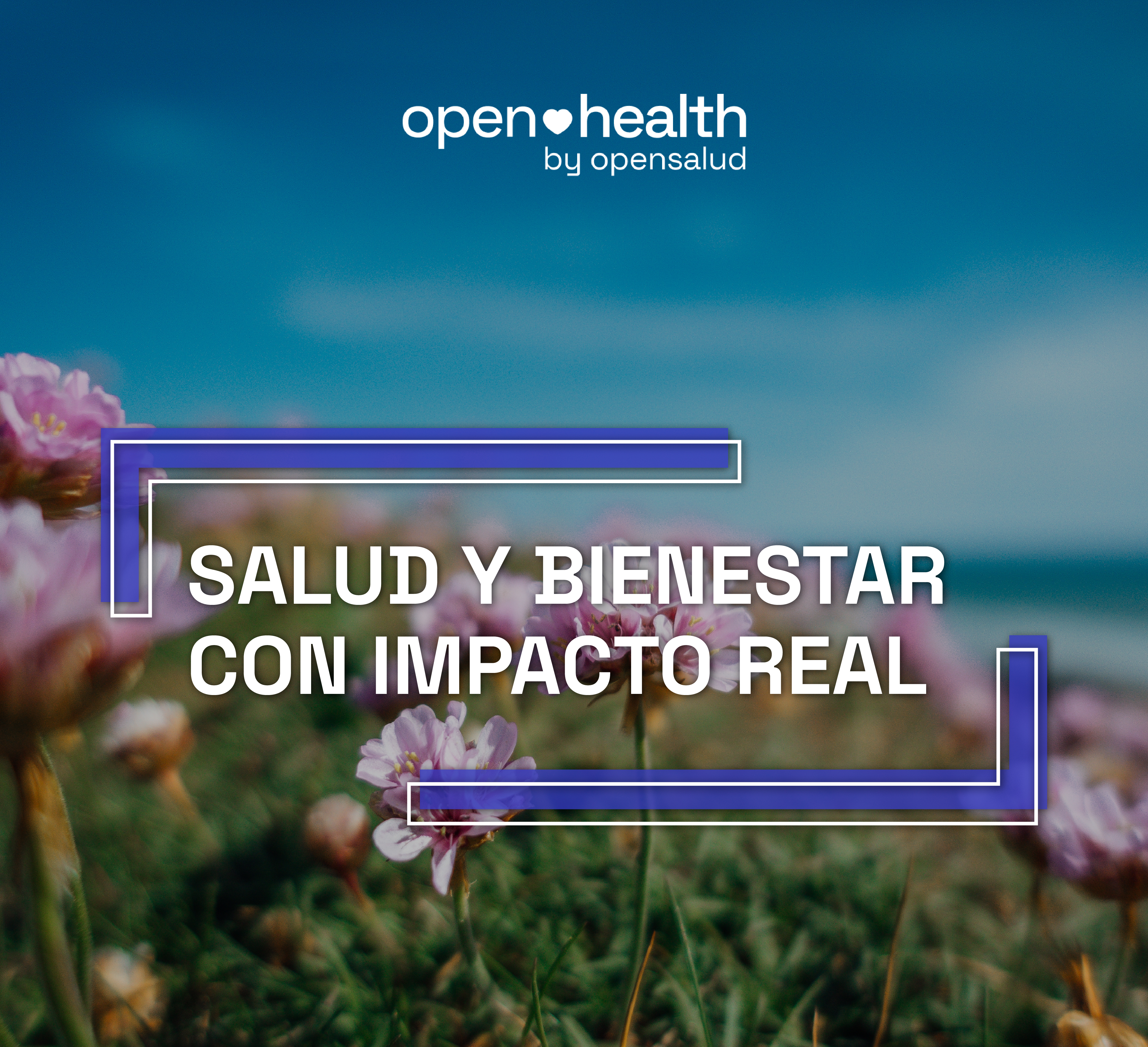 Equipo trabajando sano